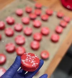 Bollos Bakery, vegan bakery Stockholm, vegan cakes Stockholm, custom cakes Stockholm, vegan bakery Vasastan, plant-based bakery, vegan croissant, vegan pastries, Click and Collect bakery, vegan birthday cake
